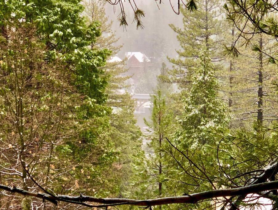 Glimmer Chalet Treetop A-Frame Cabin Lake View ليك أروهيد المظهر الخارجي الصورة